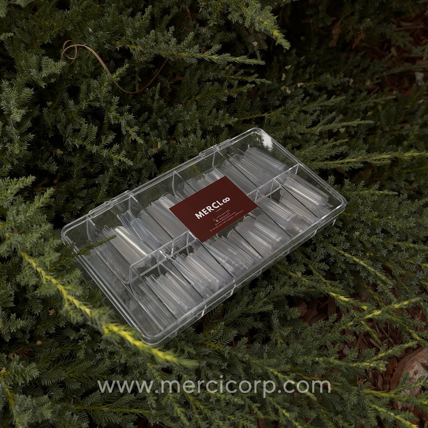 3XL Clear Long Coffin